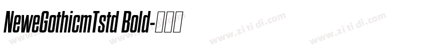 NeweGothicmTstd Bold字体转换